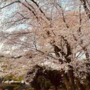 ヒメ日記 2025/04/08 12:05 投稿 みお 横浜 風俗 妻がオンナに変わるとき