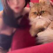 ヒメ日記 2025/04/23 12:13 投稿 ほのか TOKYO BUNNYS CLUB