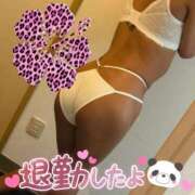 ヒメ日記 2025/10/16 02:16 投稿 紗緒莉なな　【ニューハーフ】 久留米デリヘルセンター