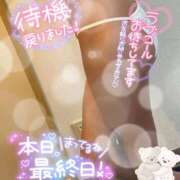 ヒメ日記 2025/10/19 15:26 投稿 紗緒莉なな　【ニューハーフ】 久留米デリヘルセンター