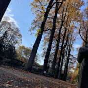 ヒメ日記 2025/11/29 11:42 投稿 まりん 熟女の風俗最終章 宇都宮店