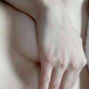 ヒメ日記 2025/02/24 12:52 投稿 おと 石庭