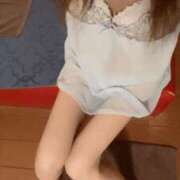 ヒメ日記 2025/06/23 20:20 投稿 おと 石庭