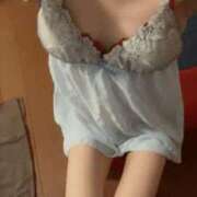 ヒメ日記 2025/10/07 12:00 投稿 おと 石庭