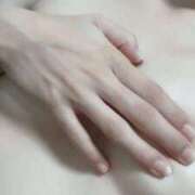 ヒメ日記 2025/10/11 09:29 投稿 おと 石庭