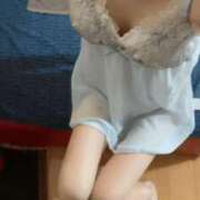 ヒメ日記 2025/11/04 17:20 投稿 おと 石庭