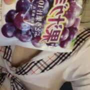 ヒメ日記 2026/01/24 19:25 投稿 おと 石庭