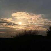 ヒメ日記 2026/01/27 15:00 投稿 おと 石庭