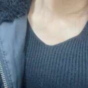 ヒメ日記 2026/02/01 23:33 投稿 おと 石庭