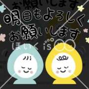 ヒメ日記 2026/02/02 15:20 投稿 おと 石庭
