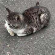 ヒメ日記 2025/07/05 00:27 投稿 ゆあ 川崎ソープ　クリスタル京都南町