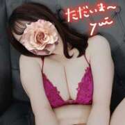 ヒメ日記 2026/02/05 13:00 投稿 Yui 上野M性感フェチ倶楽部 インサニティ東京