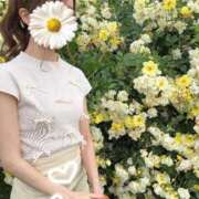 ヒメ日記 2025/05/27 17:13 投稿 冬月リア Claris Tokyo～クラリス東京～