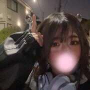 ヒメ日記 2025/03/14 19:50 投稿 かれん ウルトラグレイス24