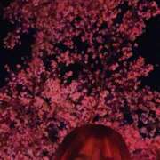 ヒメ日記 2025/04/10 06:53 投稿 かれん ウルトラグレイス24