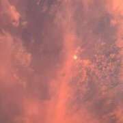 ヒメ日記 2025/08/22 14:10 投稿 かれん ウルトラグレイス24