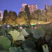 ヒメ日記 2025/09/10 01:50 投稿 かれん ウルトラグレイス24