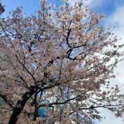 ヒメ日記 2026/03/29 20:14 投稿 真田あおい プランタン大塚