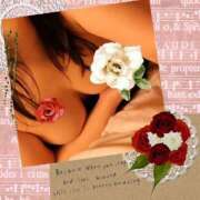 ヒメ日記 2025/05/25 11:03 投稿 うた チューリップ土浦店