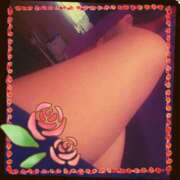 ヒメ日記 2025/06/28 08:38 投稿 うた チューリップ土浦店