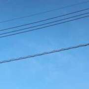 ヒメ日記 2025/07/04 08:28 投稿 うた チューリップ土浦店