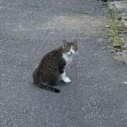 ヒメ日記 2025/07/30 06:22 投稿 うた チューリップ土浦店