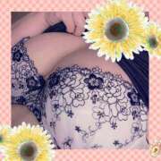 ヒメ日記 2025/08/03 11:16 投稿 うた チューリップ土浦店