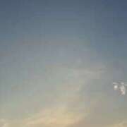 ヒメ日記 2025/09/10 07:58 投稿 うた チューリップ土浦店