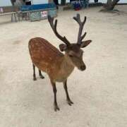 ヒメ日記 2025/10/08 06:38 投稿 うた チューリップ土浦店