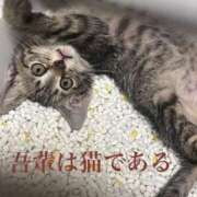 ヒメ日記 2025/06/06 11:52 投稿 雲雀　あいこ パリス雄琴店