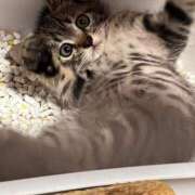 ヒメ日記 2025/06/09 15:52 投稿 雲雀　あいこ パリス雄琴店