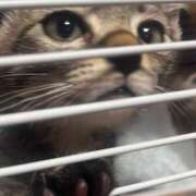 ヒメ日記 2025/06/11 13:52 投稿 雲雀　あいこ パリス雄琴店