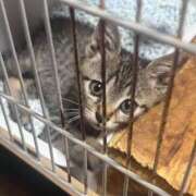 ヒメ日記 2025/06/26 10:22 投稿 雲雀　あいこ パリス雄琴店