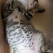 ヒメ日記 2025/07/04 03:02 投稿 雲雀　あいこ パリス雄琴店