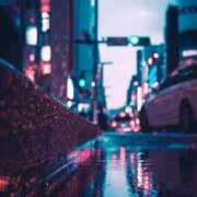 ヒメ日記 2025/07/25 00:52 投稿 雲雀　あいこ パリス雄琴店