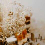 ヒメ日記 2025/09/14 08:52 投稿 雲雀　あいこ パリス雄琴店