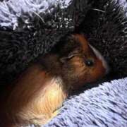 ヒメ日記 2025/11/13 00:12 投稿 雲雀　あいこ パリス雄琴店