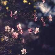 雲雀　あいこ おやすみなさい パリス雄琴店