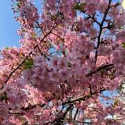 ヒメ日記 2025/03/03 10:57 投稿 ひろみ 完熟ばなな八王子