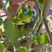 ヒメ日記 2025/06/07 10:16 投稿 ひろみ 完熟ばなな八王子