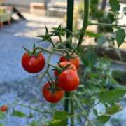 ヒメ日記 2025/08/09 10:59 投稿 ひろみ 完熟ばなな八王子