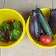 ヒメ日記 2025/08/16 09:49 投稿 ひろみ 完熟ばなな八王子