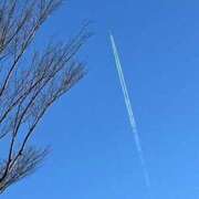 ヒメ日記 2025/12/18 10:39 投稿 ひろみ 完熟ばなな八王子