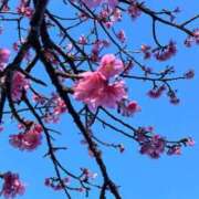 ヒメ日記 2026/01/08 10:24 投稿 ひろみ 完熟ばなな八王子