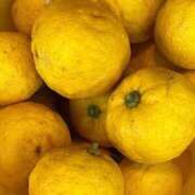 ヒメ日記 2026/01/29 10:20 投稿 ひろみ 完熟ばなな八王子