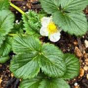 ヒメ日記 2026/03/28 10:39 投稿 ひろみ 完熟ばなな八王子