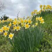 ヒメ日記 2026/04/02 10:09 投稿 ひろみ 完熟ばなな八王子