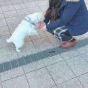 ヒメ日記 2024/12/29 11:55 投稿 なぎ 君とふわふわプリンセスin川越