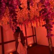 ヒメ日記 2025/01/08 18:08 投稿 なぎ 君とふわふわプリンセスin川越