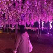 ヒメ日記 2025/01/11 21:26 投稿 なぎ 君とふわふわプリンセスin川越